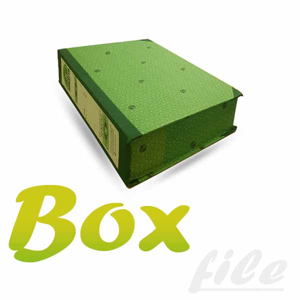 Box-File-Local