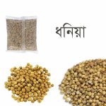 Dhonia-Coriander-100-gm