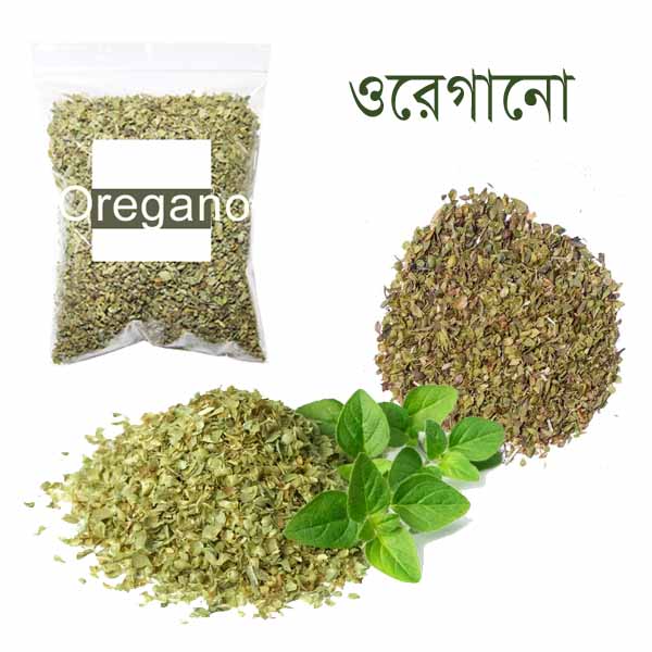 Oregano-10-gm