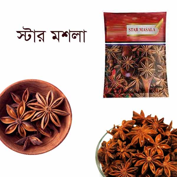 Star-Masala-Star-Anise-25-gm