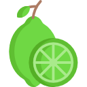 lemon icon 0