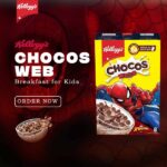 Kelloggs-Chocos-Webs-300-g