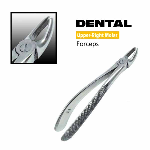 Dental-Upper-Right-Molar-Forceps-No.-17