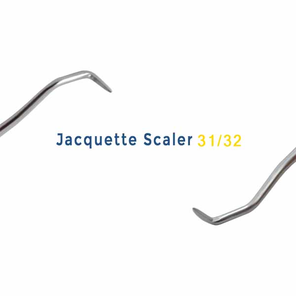 Jacquette-Scaler-31-32